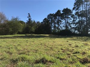 4070 m² Land available in Nottingham Road