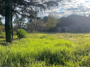 1008 m² Land available in Bedfordview