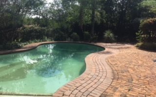 Garden Cottage in Emmarentia