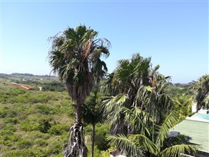4 Bed Duplex in Ballito