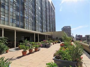 1 Bedroom House in Bellville Central