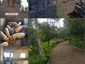 12 m² Farm in Selcourt