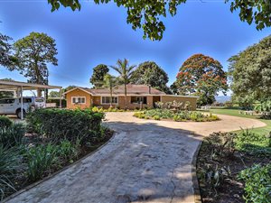 3 Bed House in Bishopstowe