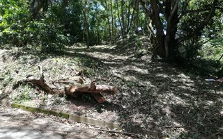 1121 m² Land available in Anerley
