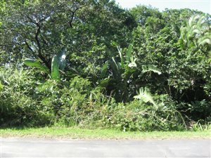 2000 m² Land available in Southbroom