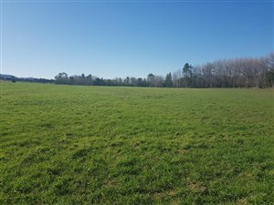 10 ha Farm in Uniondale