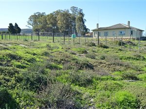 10 ha Farm in Uniondale