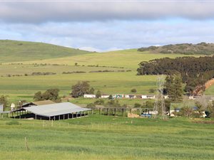804 ha Farm in Malmesbury