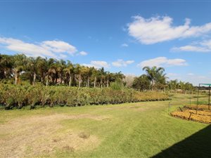 8.6 ha Farm in Rayton