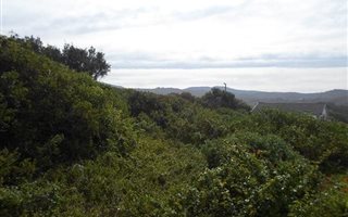 417 m² Land available in Kleinkrantz