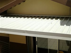 3 Bed House in Forest Haven