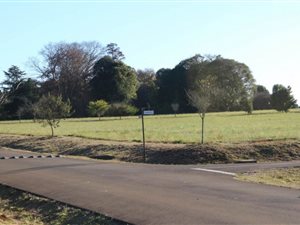 1619 m² Land available in Howick