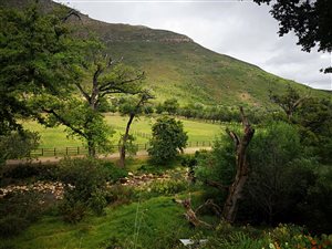 4 Bedroom House in Stellenbosch Agricultural