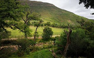 4 Bedroom House in Stellenbosch Agricultural