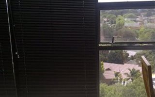 1 Bedroom Apartment in Elma Park