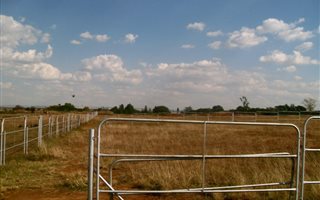 8600 m² Land available in Rand Collieries