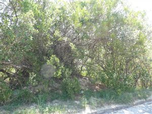 1072 m² Land available in Kleinemonde