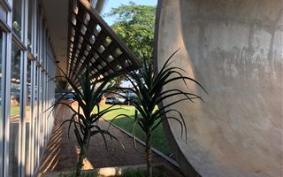 1084 m² Commercial space in La Lucia