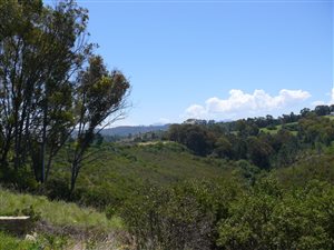 6952 m² Land available in Estuary Heights
