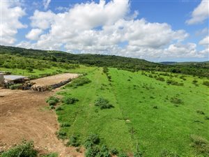 135 ha Land available in East London Rural
