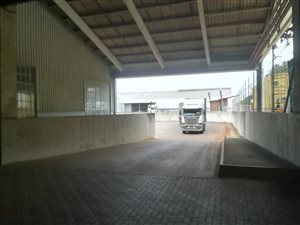 17024 m² Commercial space in Mobeni