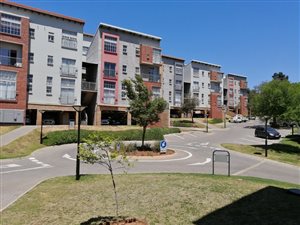 1 Bed Flat in Houghton Estate