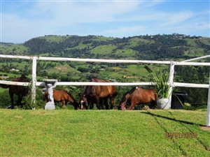 10 ha Farm with House in Drummond