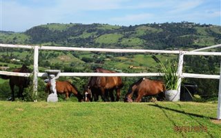 10 ha Farm with House in Drummond