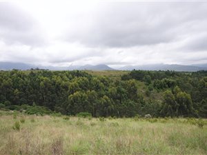 936 m² Land available in Welgelegen