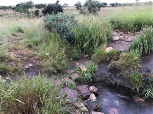 15.7 ha Farm in Donkerhoek