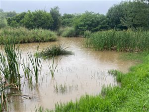 5.3 ha Land available in Tiegerpoort