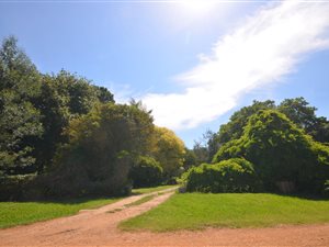 3 Bed House in Tsitsikamma
