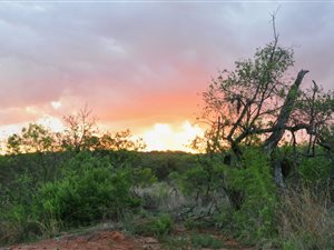 2607 m² Land available in Verloren Estate