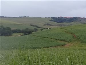 17 ha Farm in Hilltop Estate