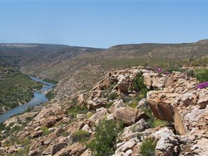 1359 ha Farm in Clanwilliam