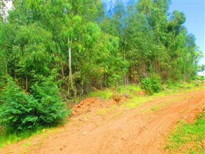 816 m² Land available in Dullstroom