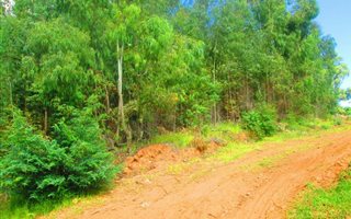 816 m² Land available in Dullstroom