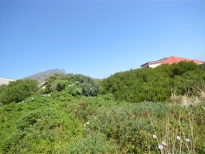 600 m² Land available in Pringle Bay