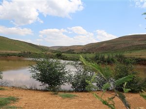 73 ha Farm in Machadodorp