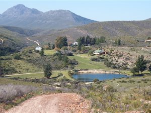 1616 ha Farm in Ruiterbos
