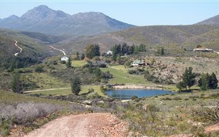 1616 ha Farm in Ruiterbos
