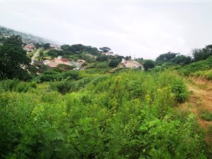 1291 m² Land available in Umlazi