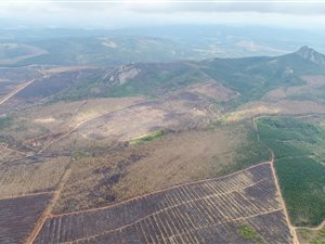 65.1 ha Land available in White River AH