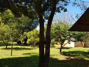 23.8 ha Farm in Leeuwfontein