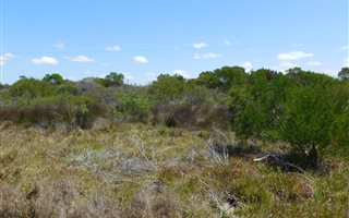 1220 m² Land available in C Place