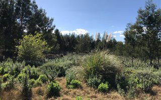 17.9 ha Farm in Coastal Suburbs