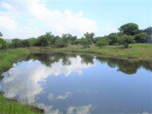 52 ha Farm in Modimole (Nylstroom)