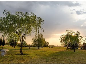 11 ha Farm in Klipriver