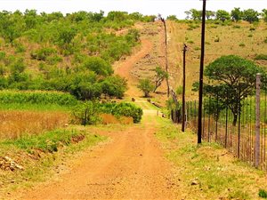 21.4 ha Farm in Dinokeng