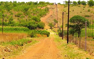 21.4 ha Farm in Dinokeng